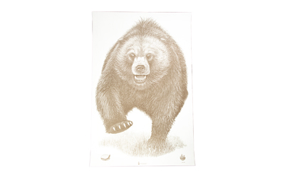 [ACTASP-BB-100] ACTION TGT AK STATE PARK BEAR 100PK