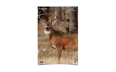 [BC35401] B/C PREGAME DEER TGT 3-16.5X24