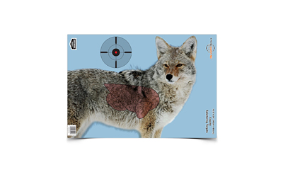 [BC35405] B/C PREGAME COYOTE TGT 3-16.5X24