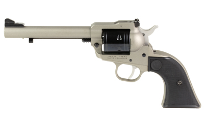 [RUG02033] RUGER SUPER WRNGLR 22LR 5.5" 6RD SLV