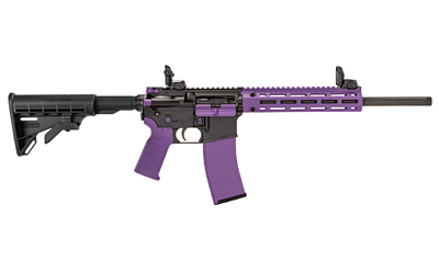 [TPPA101222] TIPPMANN M4-22 ACCENT 22LR 25RD PRP