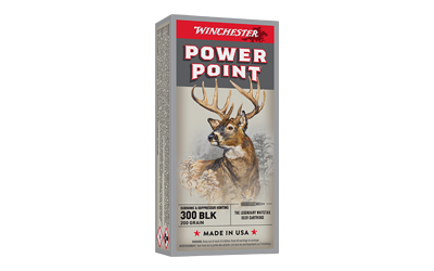 [WINX300BLKX] WIN PWR PNT 300BLK 200GR SS 20/200