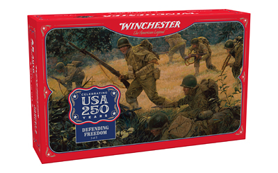 [WNUSA45250] WIN USA 250TH 45ACP 230GR FMJ 50/300
