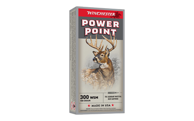 [WNX300WSM] WIN SPRX PWR PNT 300WSM 180GR 20/200